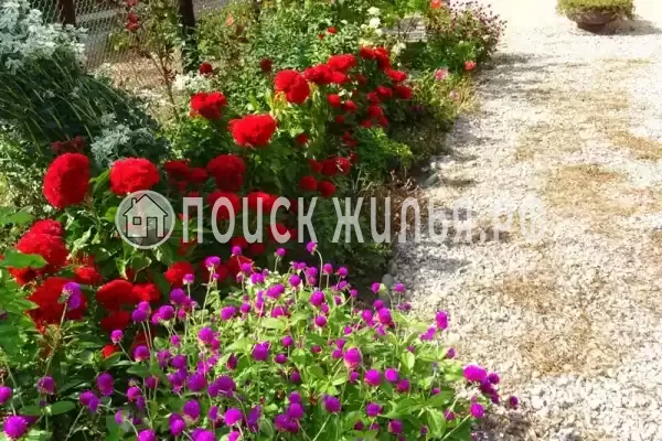 Гостевой дом «Фортуна», Пицунда