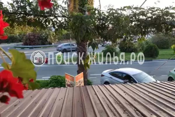 «У риты», Адлер