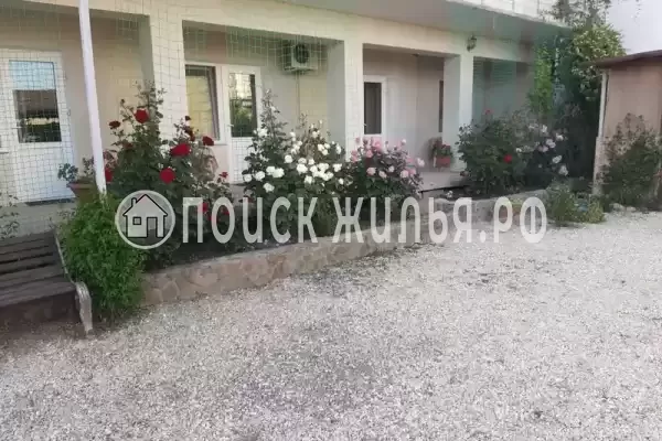 «В гостях у владимира», Судак