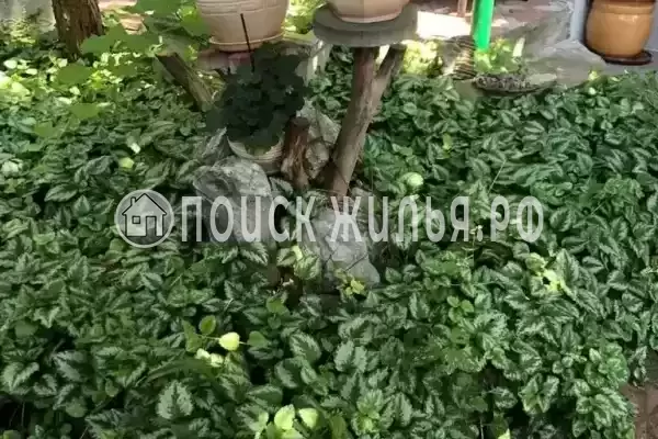 «На победы», Краснодарский край, Сочи, Лазаревское, Победы, д.276А «На победы», Краснодарский край, Сочи, Лазаревское, Победы, д.276А