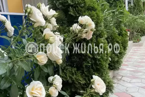 Частный сектор «Прибой», Ольгинка