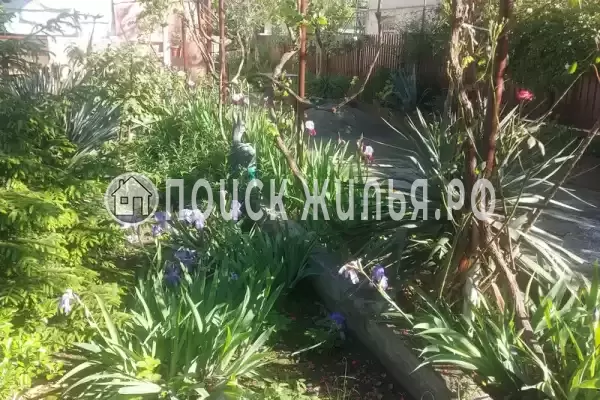 Гостевой дом «Анна», Гагра