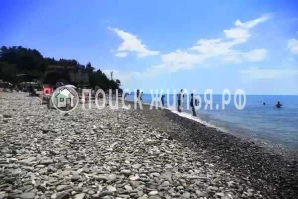 «Пикантный», Головинка «Пикантный», Головинка