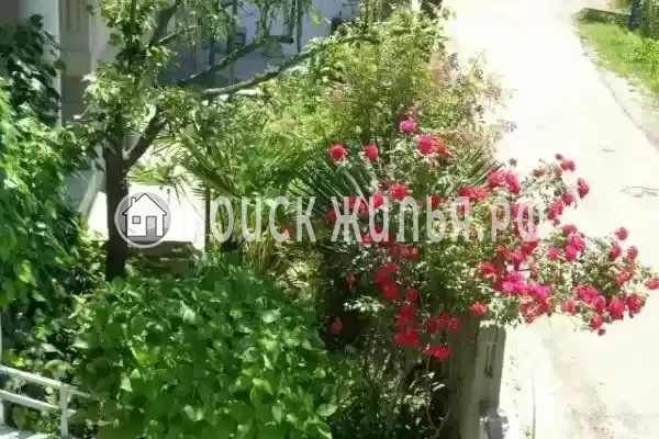 «Славянка», Лоо