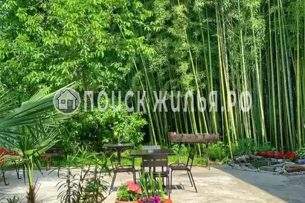 «Бамбуковая роща», Вардане «Бамбуковая роща», Вардане