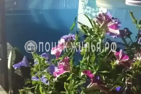 «Лес», Южная Озереевка