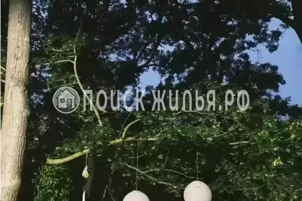 «Лес», Краснодарский край, Южная Озереевка, 2-я Прибрежная, д.22 «Лес», Краснодарский край, Южная Озереевка, 2-я Прибрежная, д.22