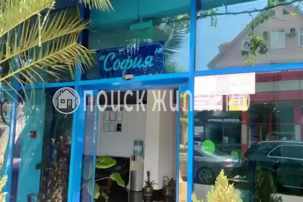 «София», Адлер