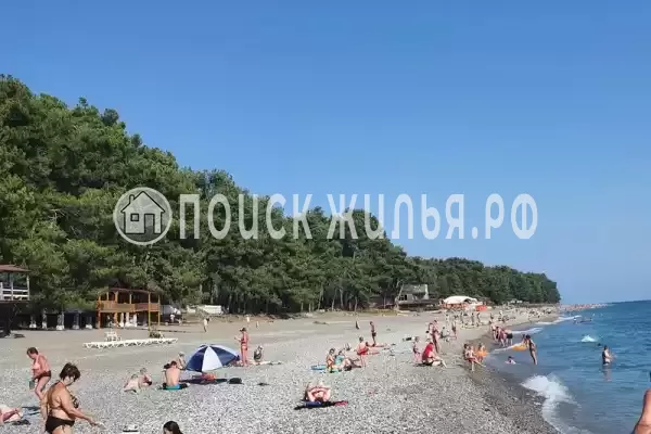 Гостевой дом «Сосновый рай», Пицунда