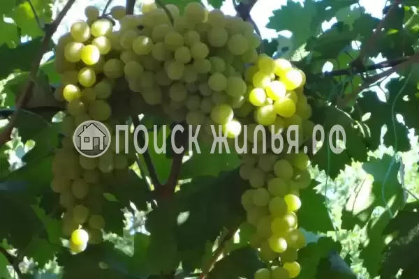 Частный сектор «На Калинина», Ейск