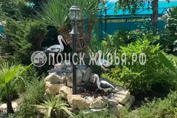 Частный сектор «Дженнет», Туапсе
