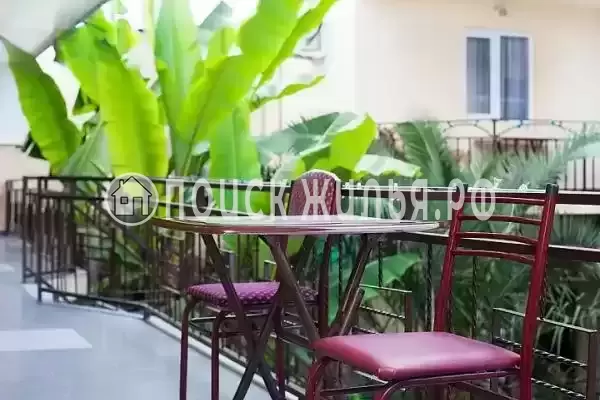 «Юна», Адлер