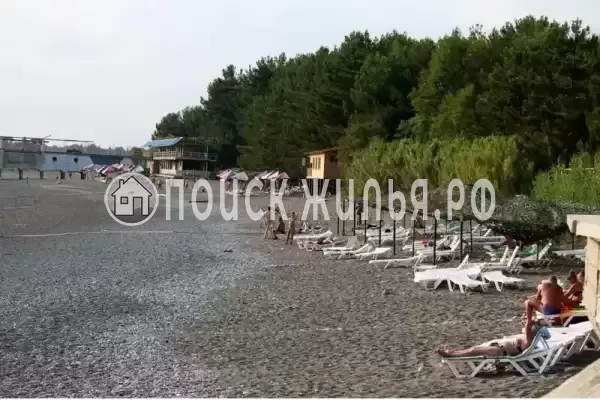 Гостевой дом «Мускат», Пицунда