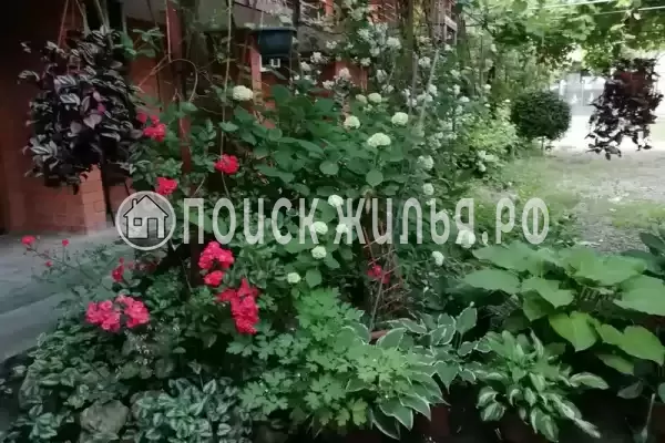 Частный сектор «Карусель», Лазаревское