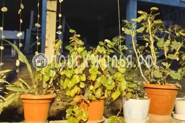 Частный сектор «Частный дом У тети Аси», Цандрипш