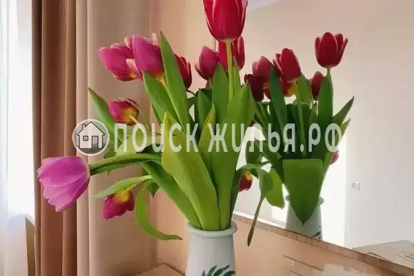 «Центральная», Анапа «Центральная», Анапа