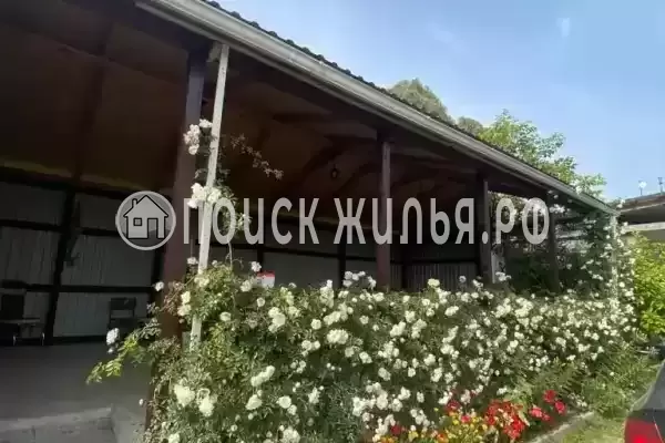 Гостевой дом «Leon», Республика Абхазия, Гагры, Пицунда, Нозадзе, д.59А