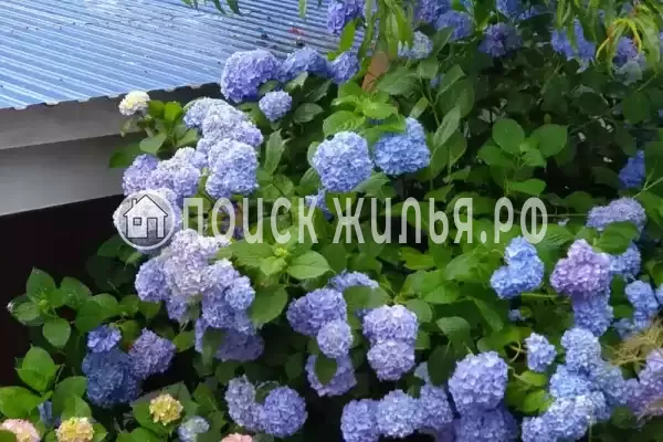 «Ласточкино гнездо», Лермонтово