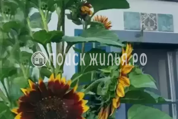 Дом под ключ «Дом художника», Краснодарский край, Витязево, Сельская, д.47