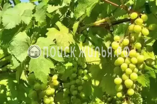 Частный сектор «На тургенева», Анапа