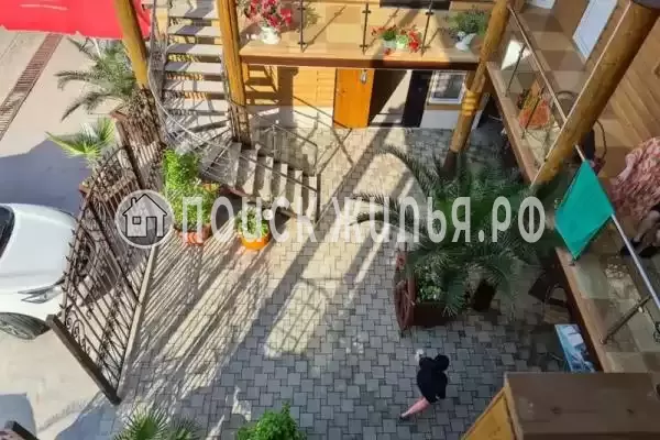 «Пальма финик», Сукко «Пальма финик», Сукко