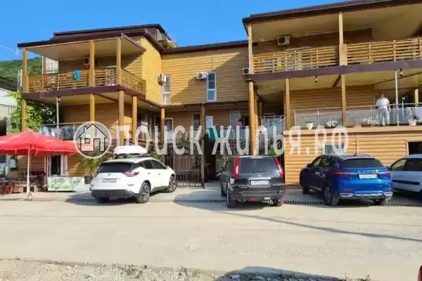 «Пальма финик», Сукко «Пальма финик», Сукко