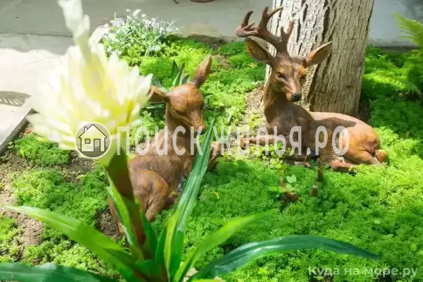 «Домашний уют», Коктебель