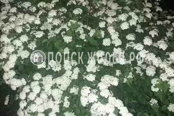 «Алена», Анапа «Алена», Анапа