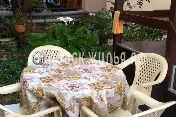 «Золотой рапан», Адлер «Золотой рапан», Адлер