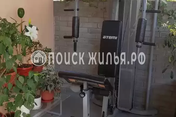 «Золотой рапан», Адлер «Золотой рапан», Адлер