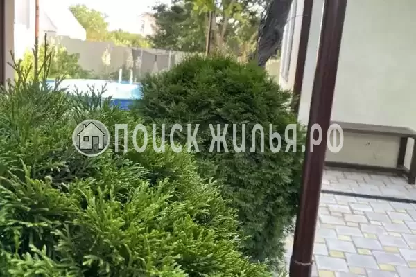 «Никлена», Благовещенская