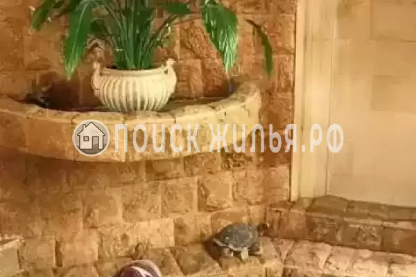 «Марианна», Вардане «Марианна», Вардане