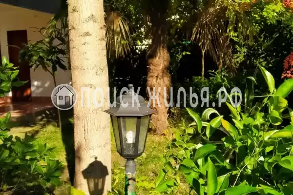 «Зеленый остров», Вардане «Зеленый остров», Вардане