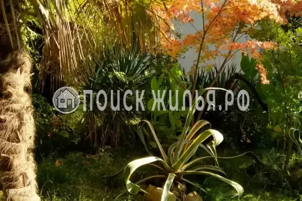 «Зеленый остров», Вардане «Зеленый остров», Вардане