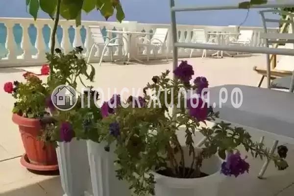 «Эллинг На Волне», Лоо