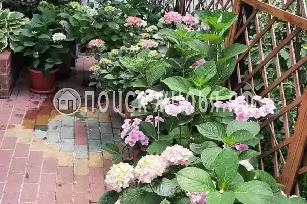 Частный сектор «Частный дом Визит», Геленджик