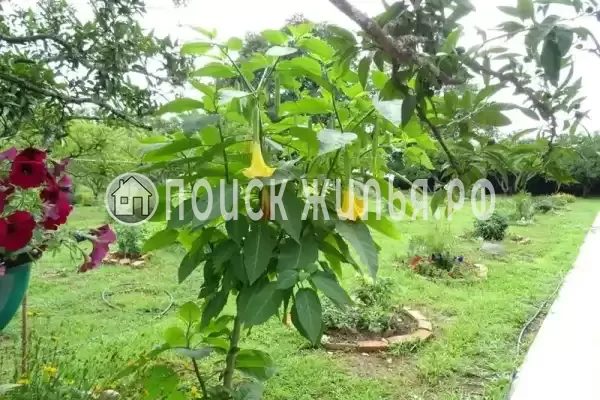 Гостевой дом «У Марины», Мачара