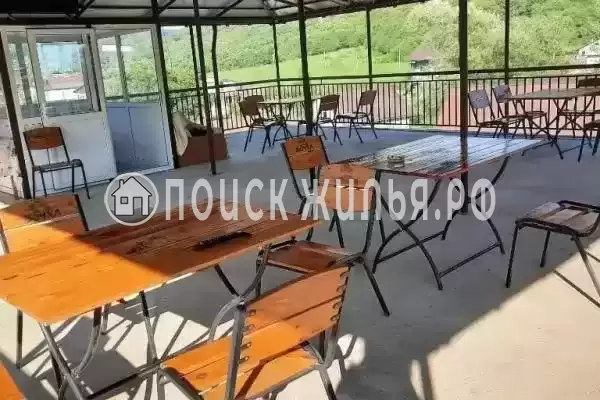 «Галопогосы», Лоо «Галопогосы», Лоо