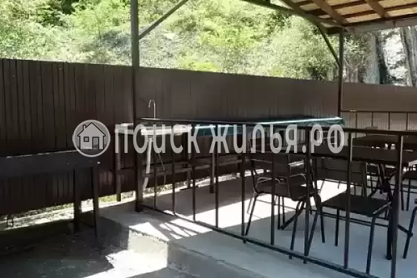 «Пляхо», Пляхо «Пляхо», Пляхо