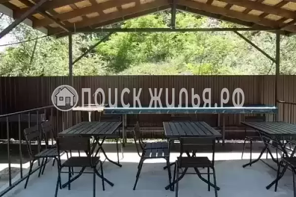 «Пляхо», Пляхо «Пляхо», Пляхо