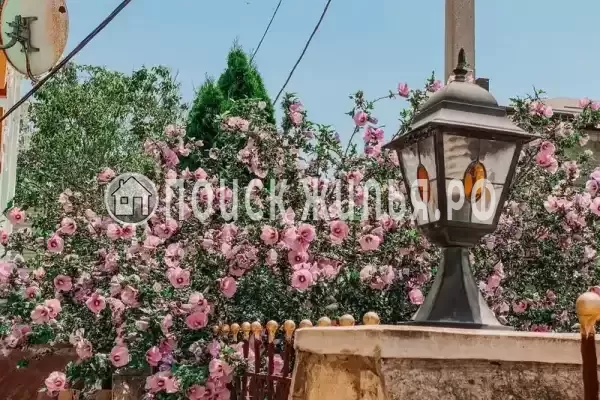 «Винтаж», Витязево «Винтаж», Витязево