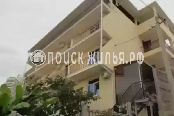 «Дельфин на ленинградской»