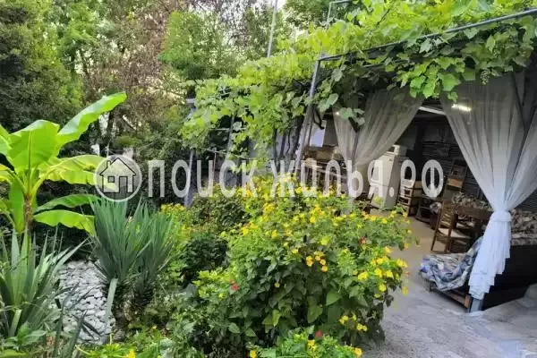 «У кедра», Совет-Квадже