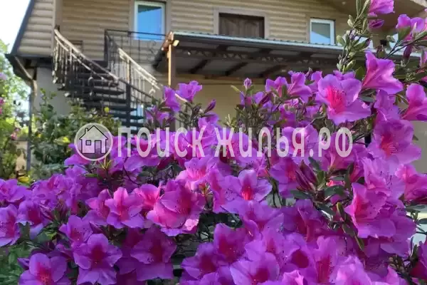 Гостевой дом «Сюзанна», Республика Абхазия, Гагры, Пицунда, Инал-ипа, д.55А