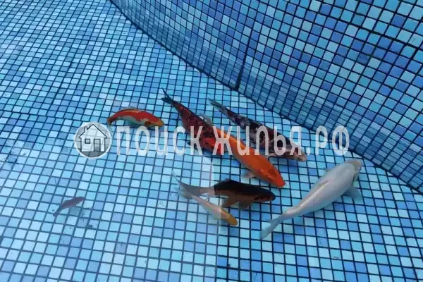 Частный сектор «ГИД», Лазаревское