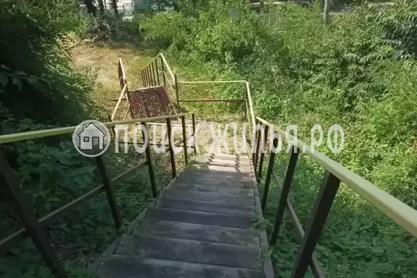 «Старая кляча», Шепси