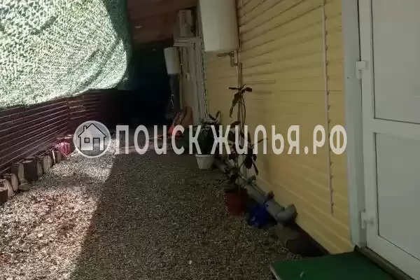 «Старая кляча», Шепси