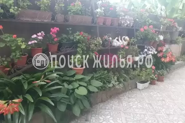 Частный сектор «Маргарита», Краснодарский край, Сочи, Дагомыс, Армавирская, д.62