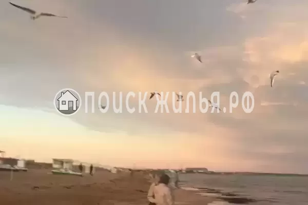 «Хоттабыч», Республика Крым, Береговое, Волошина, д.67 «Хоттабыч», Республика Крым, Береговое, Волошина, д.67