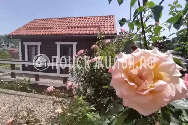 «Кедровая усадьба»